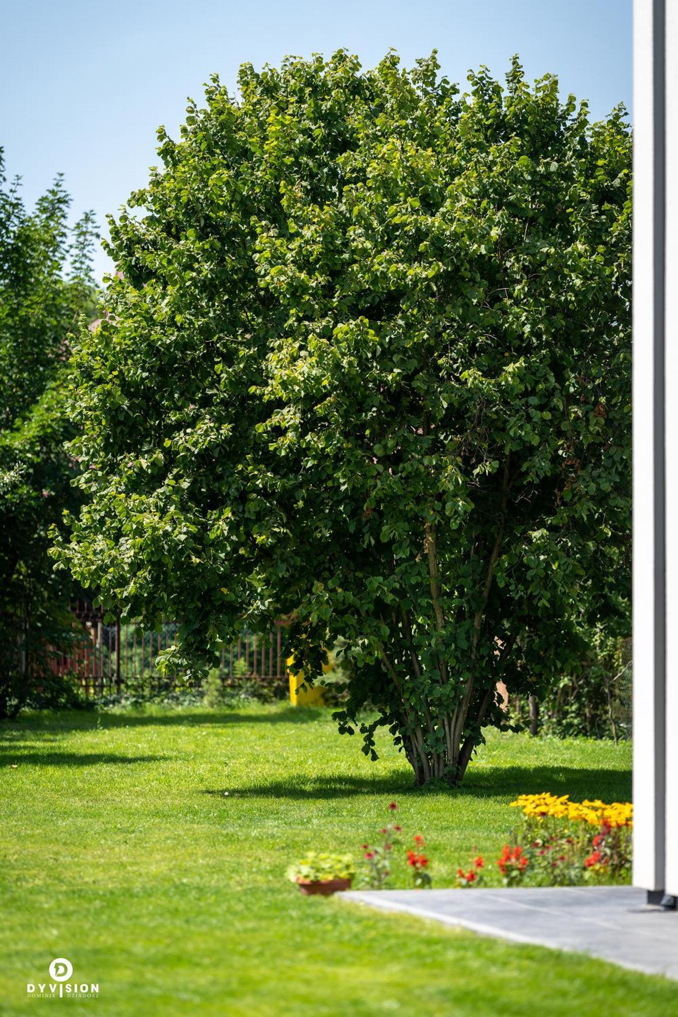 Zarebisko - Caloroczne * Zwierzyniec